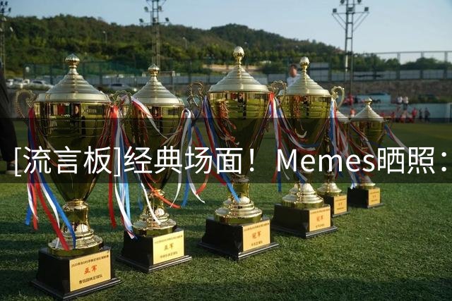 [流言板]经典场面！Memes晒照：这绝对是史上排名前三的打架事件😂